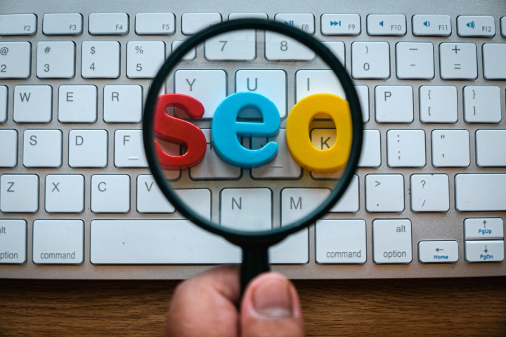 how to select your seo role